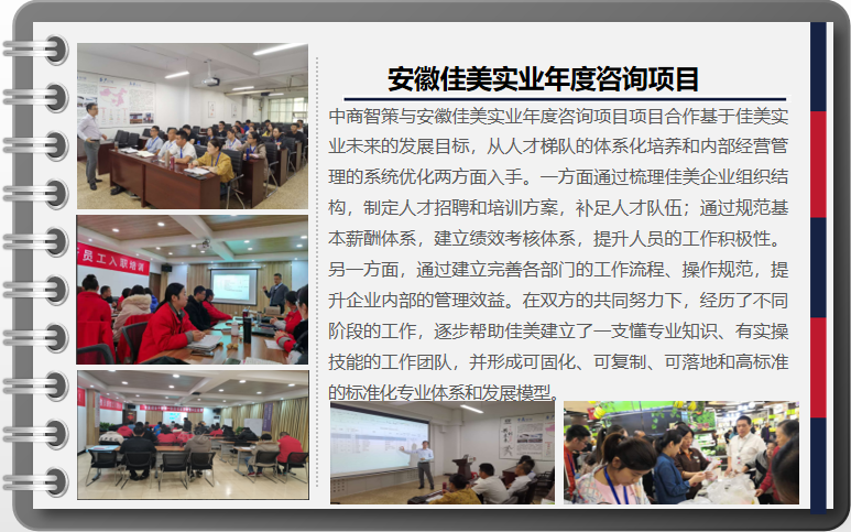 安徽佳美实业年度咨询项目